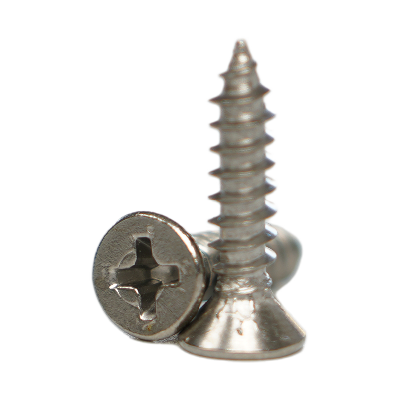 สกรูเกลียวปล่อยหัว SUS410 CSK